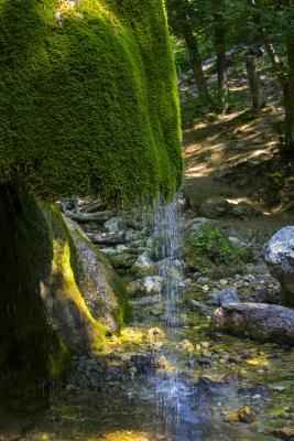 Прикрепленное изображение: IMG_1383_1+.jpg